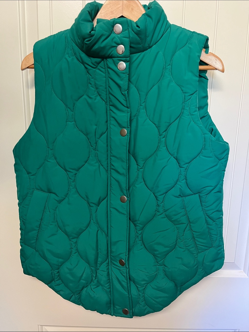 Quilted Sleeveless Puffer Vest in Green